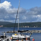 IMG_8479.jpeg