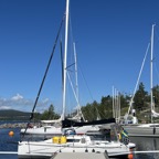 IMG_8480.jpeg
